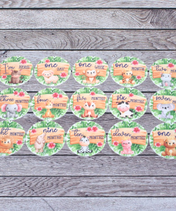 Alternative view of Milestone Jungle circles