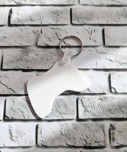 controller keyring blank