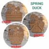 Spring Duck