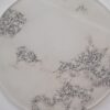 A5 - coloured acrylic – ivory and silver