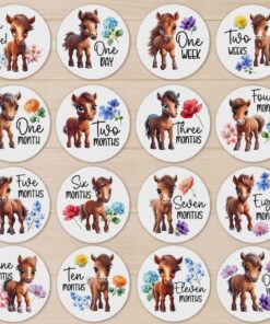 Alternative view of UV DTF – MS 018 - milestone pony