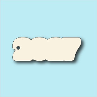 2027 keyring blank