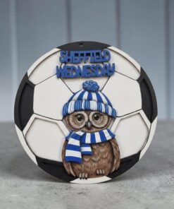20cm football with owl - Sheffield Wednesday