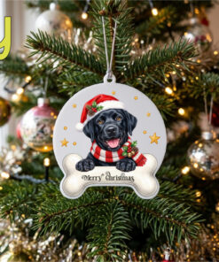 UV DTF – C 102 Dog and Bone with gold star - Image 26